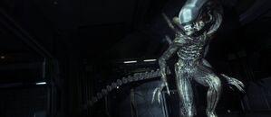 Alien-isolation-gallery-1