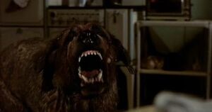 Cujo's breakdown.