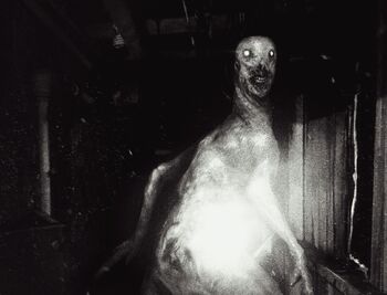 Scp-3199