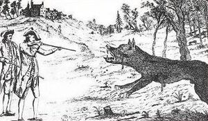 An 18th-century engraving of Antoine de Beauterne slaying the Wolf of Chazes.