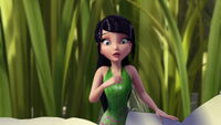 Pirate-fairy-disneyscreencaps