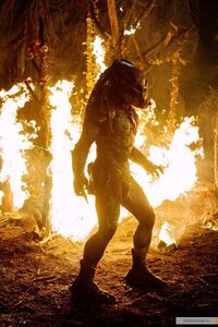 Predator-predators-2010-movie-14721618-800-1200