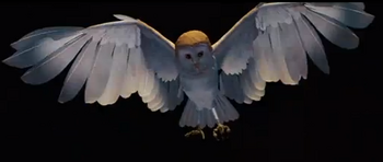 Owl form