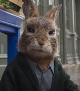 Barnabas-peter-rabbit-2-4.53