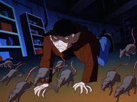 Ratboy commanding his rats in an attempt to kill Batman and Dana.