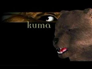 Kuma T2