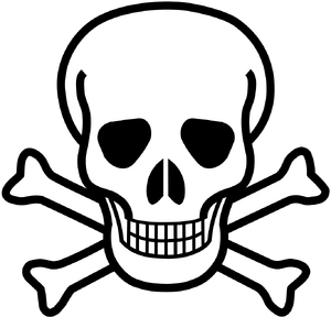 The skull and crossbones symbol, which is frequently used in real-life and fiction to signify danger, hazards, death, and/or toxins.