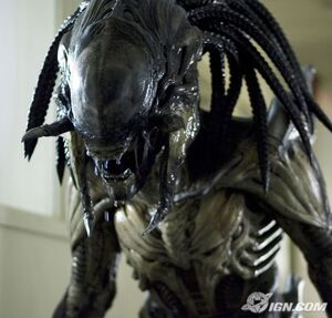 Predalien Close-Up