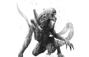 Alien Sketch3