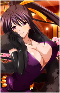 Akeno Himejima (Highschool DxD)