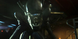 Alien-isolation drones-head