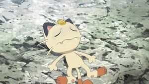 Meowth is Unconscious