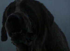 Cujo confronting Brett Camber with rabies