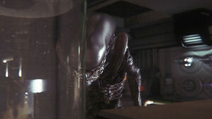 Alien-Isolation-screenshot-3