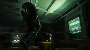 Drone alien isolation