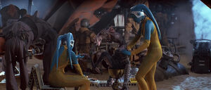 Sebulba being tended to by his Twi'lek servants.