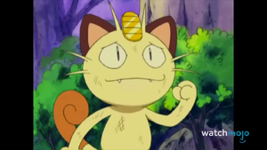 Meowth Snapshot