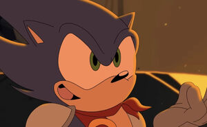 Sonic before the transformation.