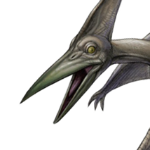 Pteranodon