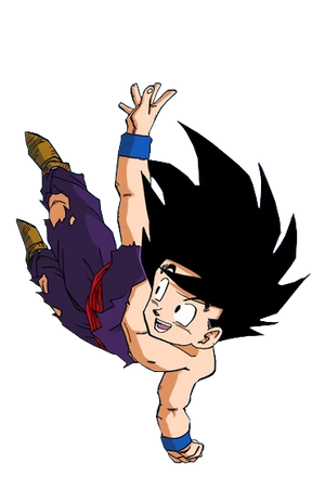 Gohan fly