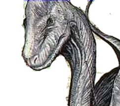 Brachiosaurus