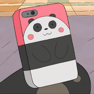 Amanda's phonecase