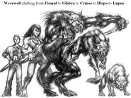 Werewolf5forms