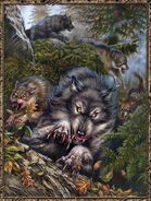 Werewolf pack 1