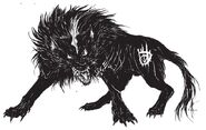 Black Werewolf