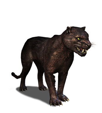 Tw3 journal panther