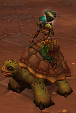 Ridingturtle