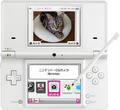 The Nintendo DSi