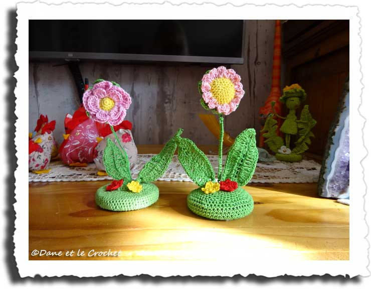 dane-et-le-crochet-mes-fleurs