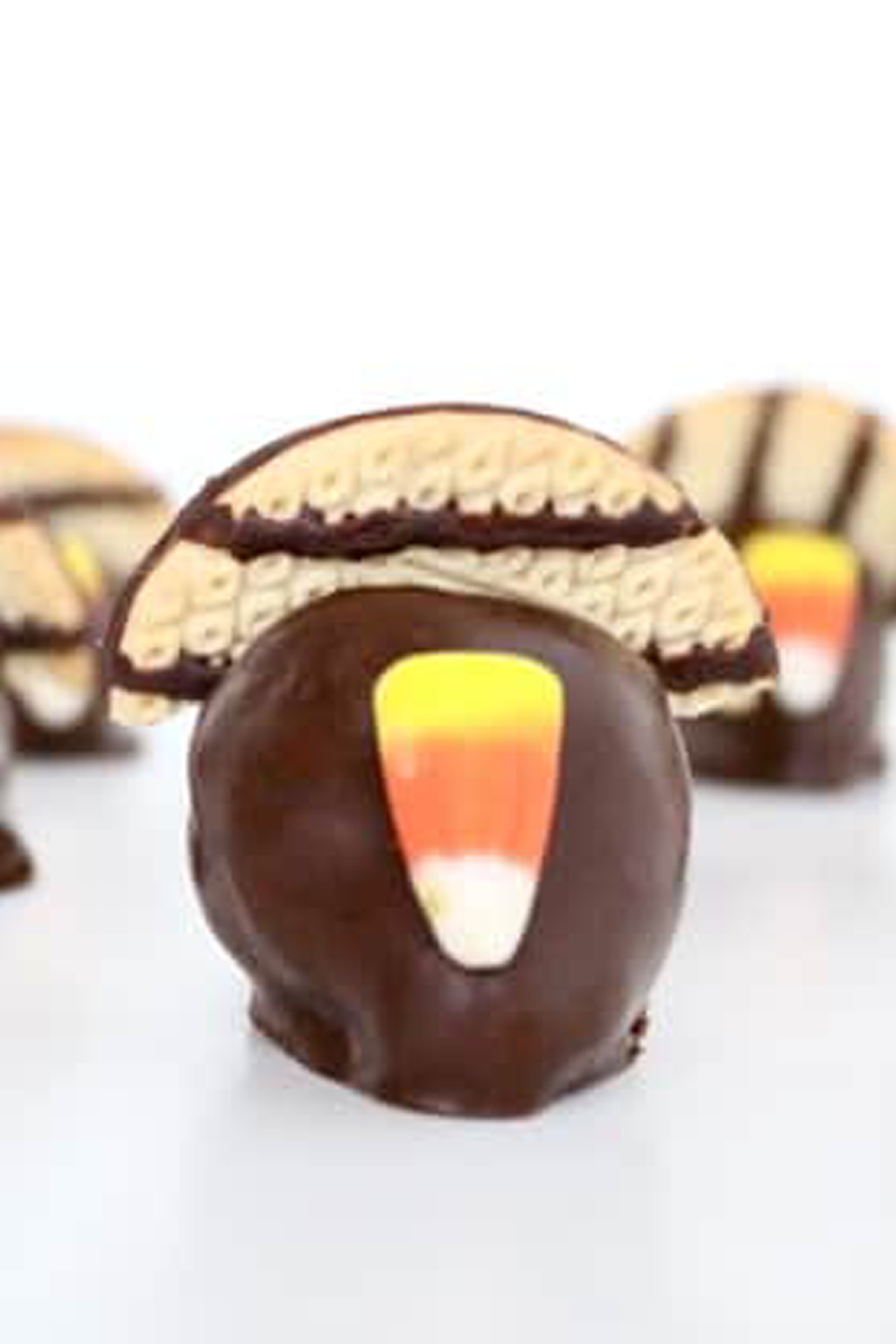 Chocolate Covered Strawberry Turkeys