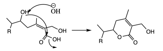 Lactone Ring Withanolide.png