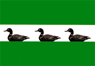 Flag of Fălești.gif