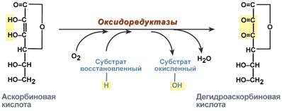 S03-reakcija-askorbinovoj-kisloty.jpg