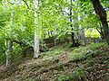 Outer walls of the ruins of Scharfeneck Castle in the woods near Baden, Austria