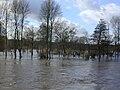 Mülheim, Hochwasser in der Ruhraue