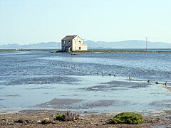 Encañizadas en el Mar Menor.