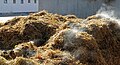 * Nomination Manure --Superbass 12:15, 9 November 2014 (UTC) Many blown highlights on the straw in the manure. --Slaunger 17:47, 9 November 2014 (UTC) reduced highlights a little bit, unfortunately I have no RAW-File of that pic --Superbass 20:30, 9 November 2014 (UTC) * Decline Lost information in highlights. Just reducing the highlist does not salvage the information when you only have the jpg, sorry. --Slaunger 20:36, 9 November 2014 (UTC)