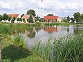 Villagepond / Dorfteich