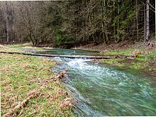 Leinleitertal wasserführend-20200301-RM-103009.jpg