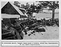 Captured Turkish Maxim guns, 1915