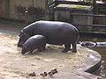 In Prague ZOO