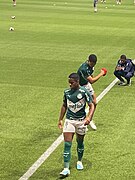 Palmeiras-bragantino-fev2023-03.jpg