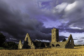 Kilcrea Abbey, Co. Cork Photograph: Davin Whooley Licensing: CC-BY-SA-4.0