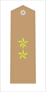 FADH Lieutenant Colonel.png