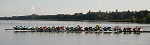 Paddle boats