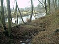 Rezerwat przyrody Buczyna nad Słupią, springtime 2008